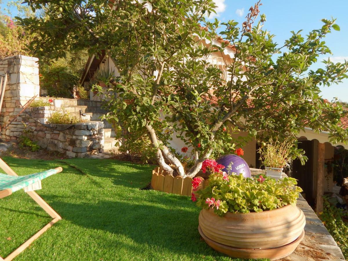 Palmina Mare Villa And Studios Paralia Vrachou Exteriér fotografie